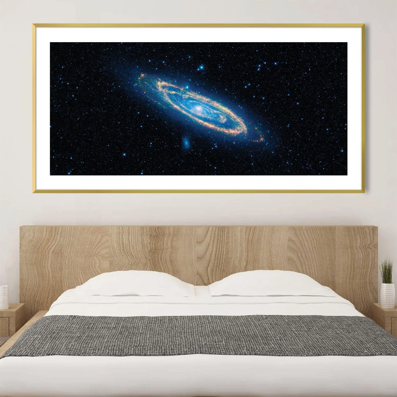 Andromeda Canvas - Image 2