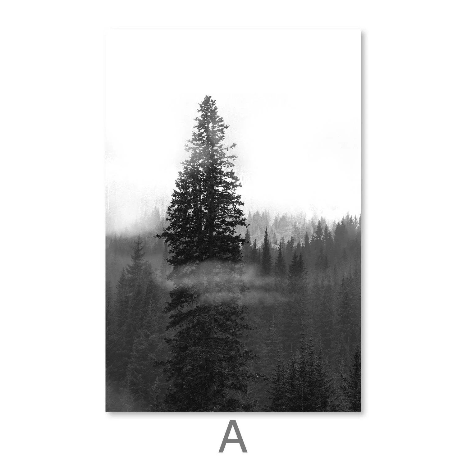 Black and White Nature Canvas - Image 5