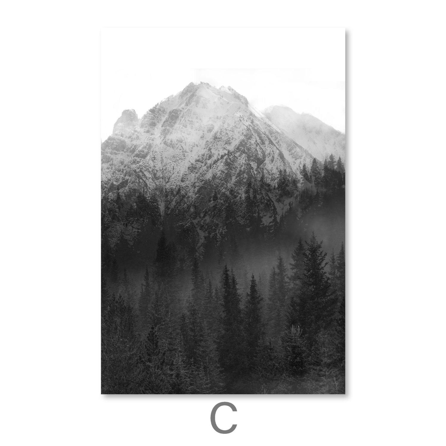 Black and White Nature Canvas - Image 7
