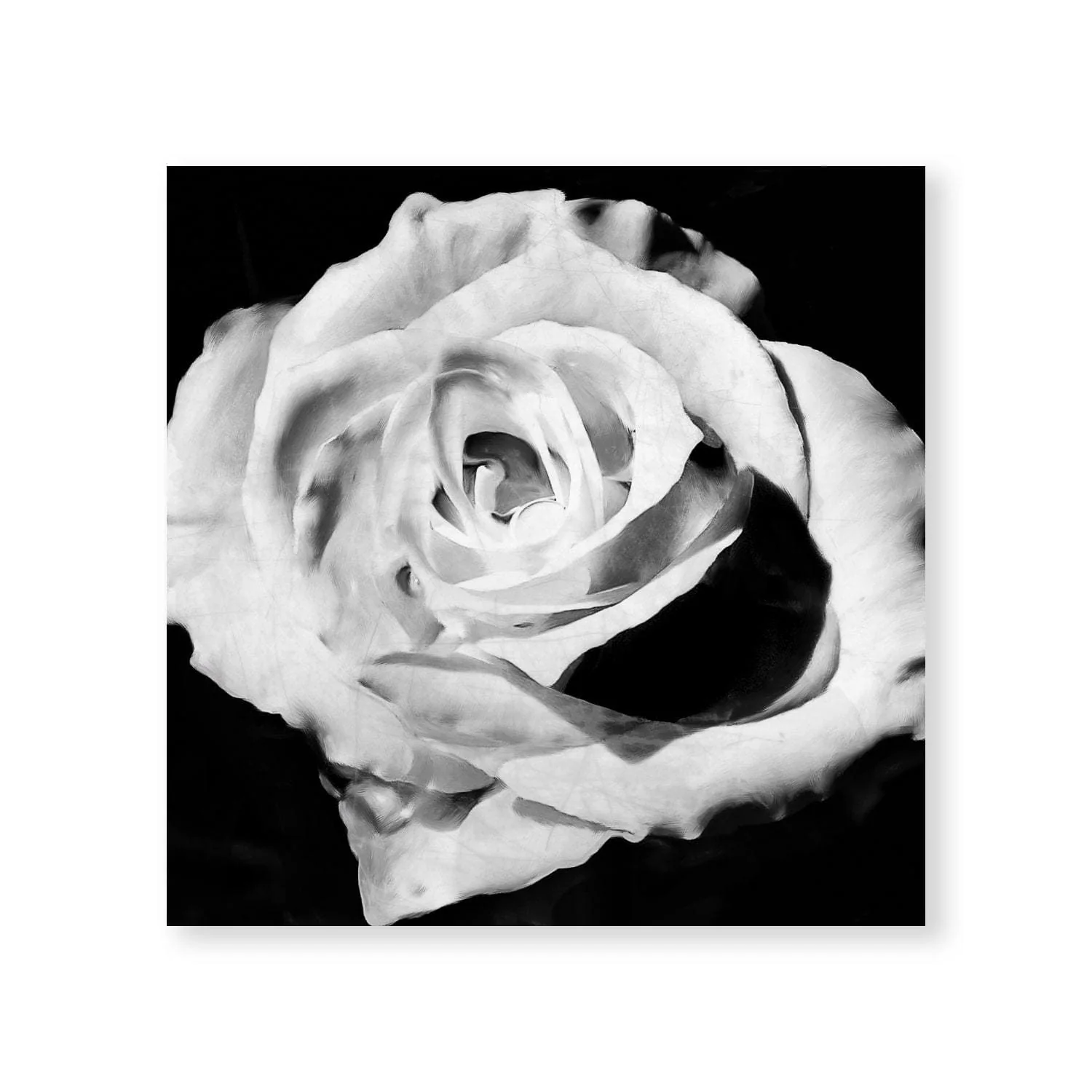 Blanc Bloom Canvas - Image 3