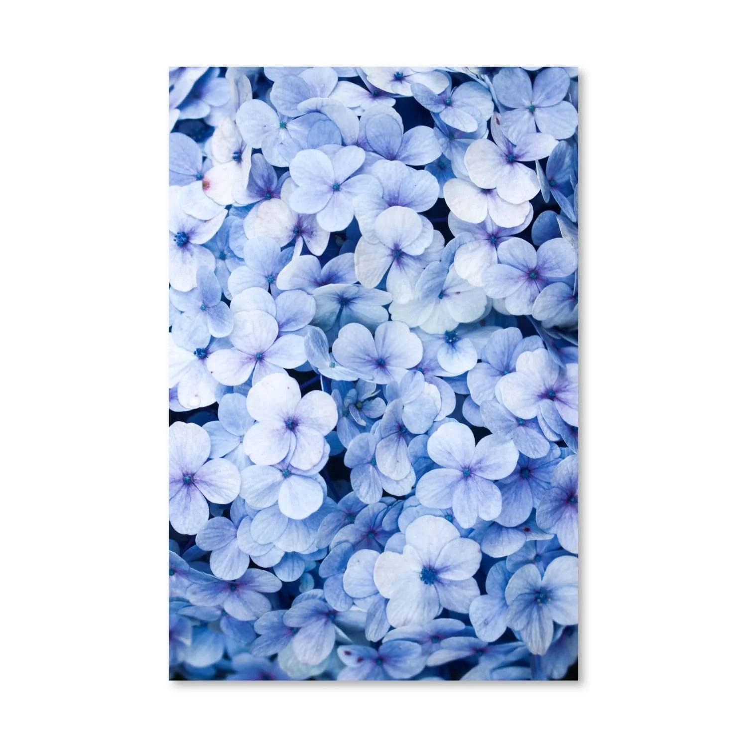 Blue Flowers Canvas - Image 4