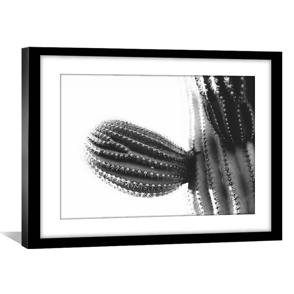Cactus Plant Print - Image 2