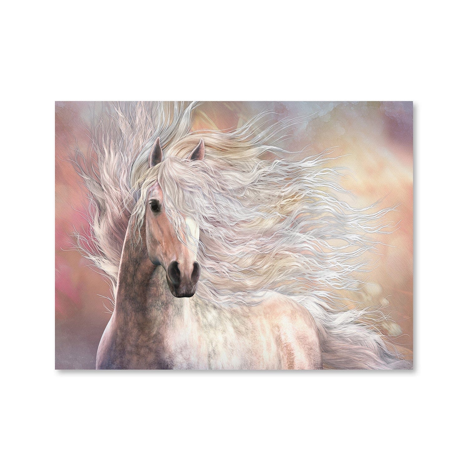 Cielo Canvas - Image 3