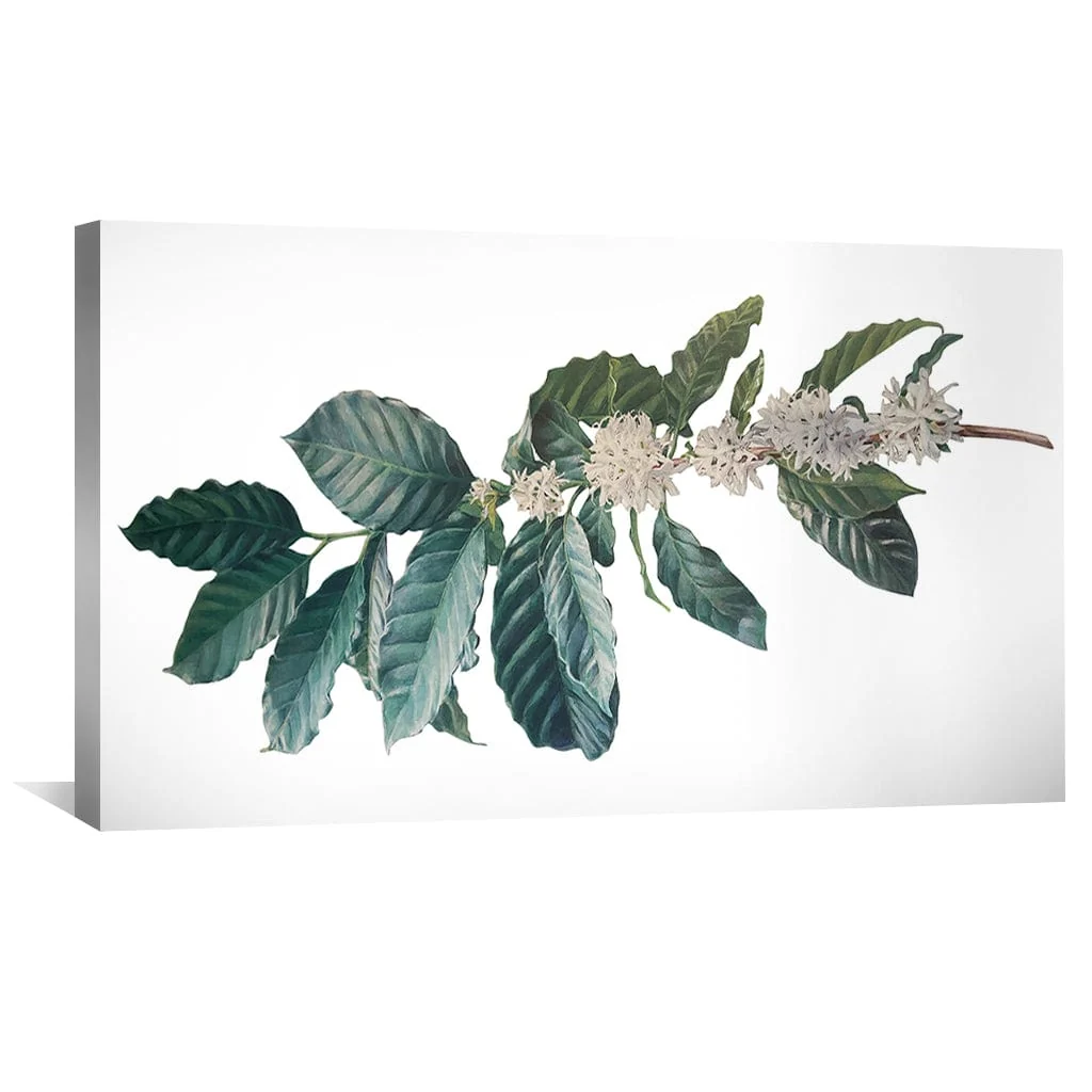 Coffee Leaves Canvas - Image 4