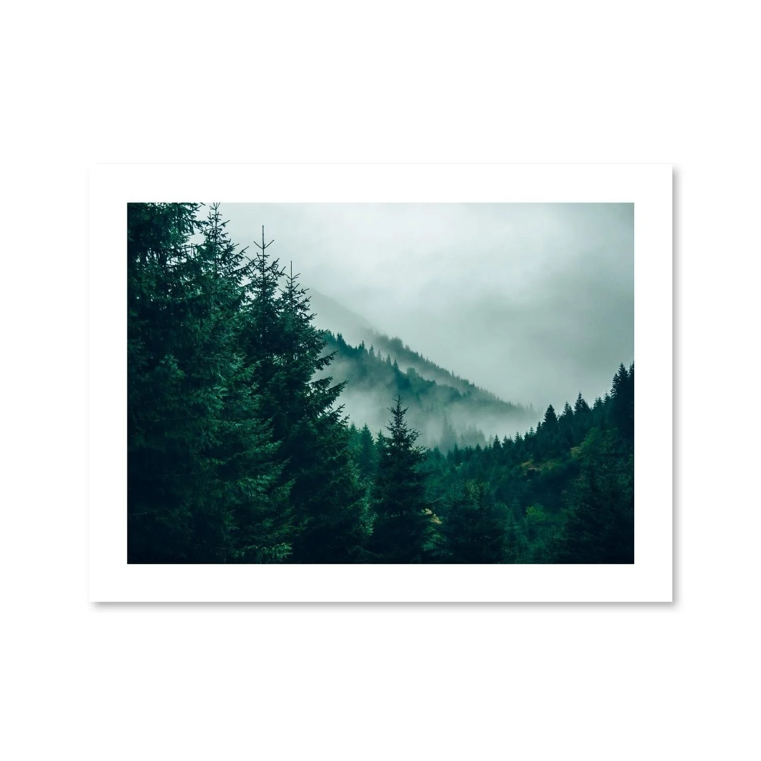 Foggy Forest Print - Image 3