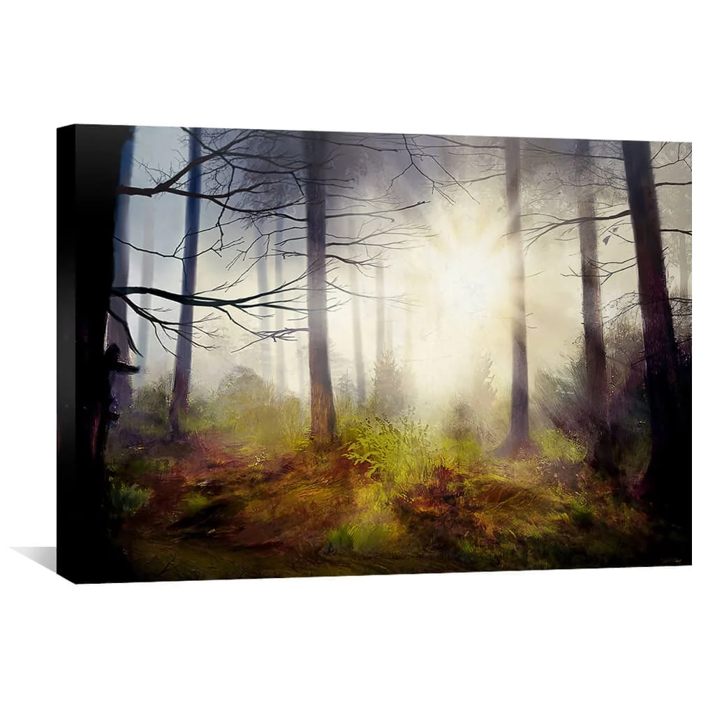 Forest Rays Canvas - Image 2