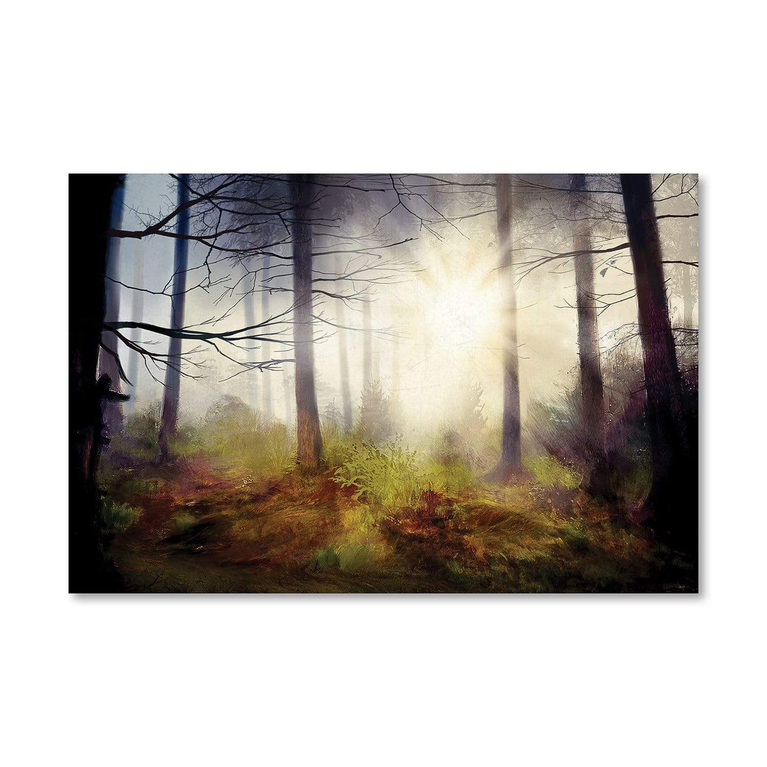 Forest Rays Canvas - Image 3