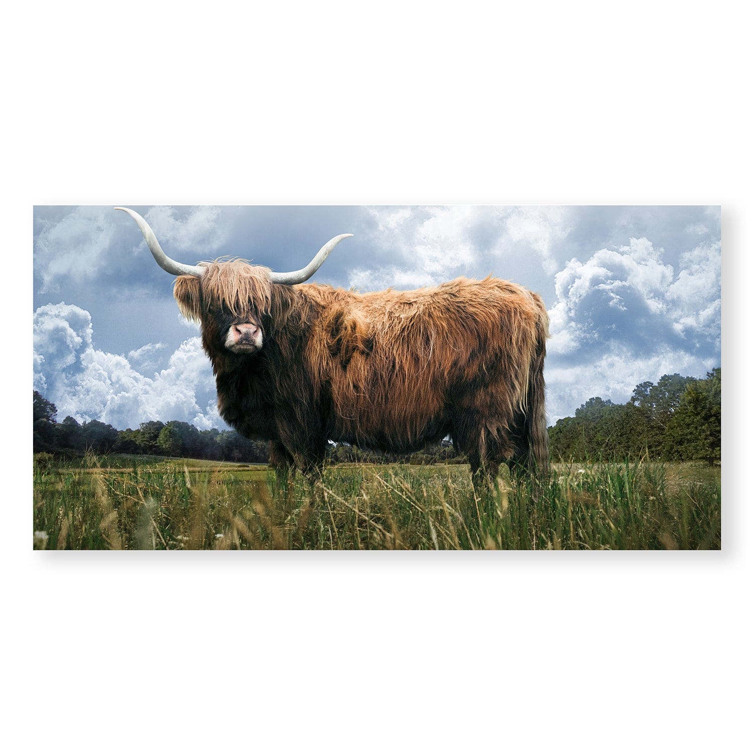 Highland Field Canvas - Image 3