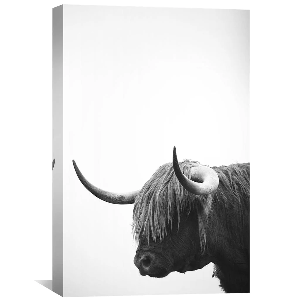 Highland Stare Canvas - Image 2