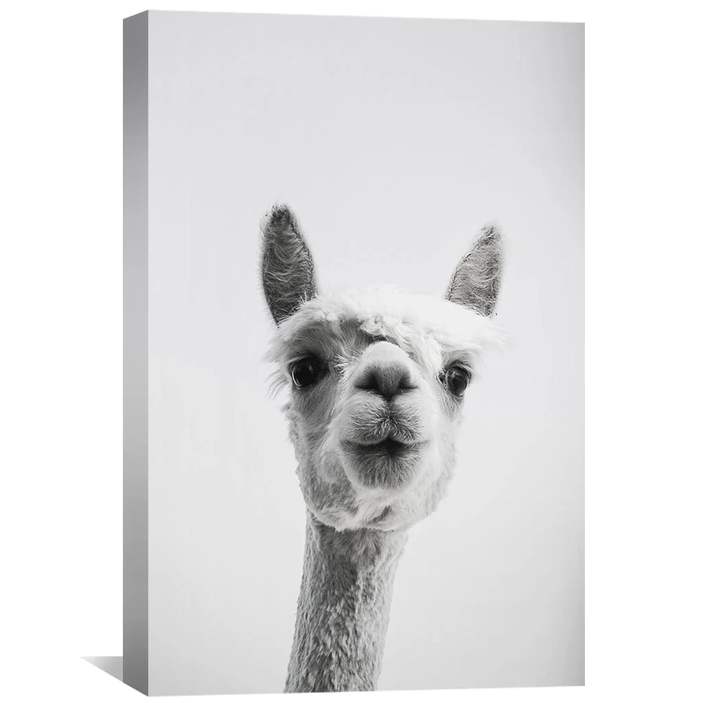 Llama Portrait Canvas - Image 2