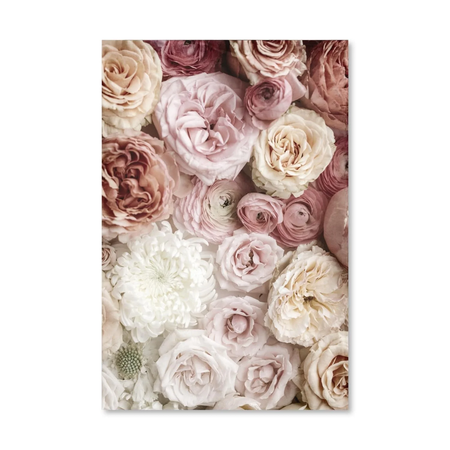 Peonies Canvas - Image 3