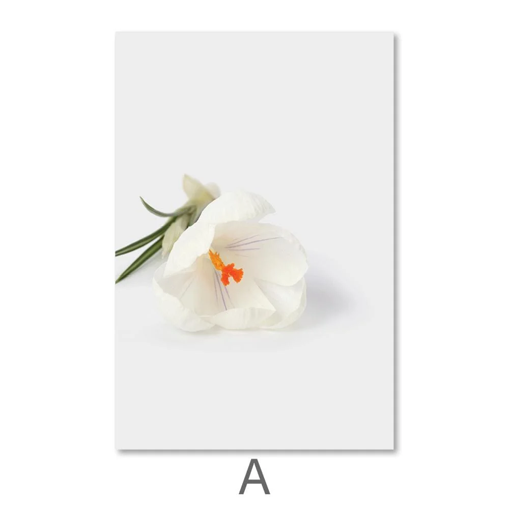 Snowdrop Flowers Canvas - Image 6