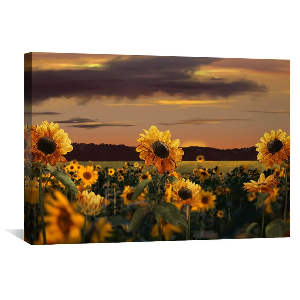 Sunflower Meadow Canvas - Image 2