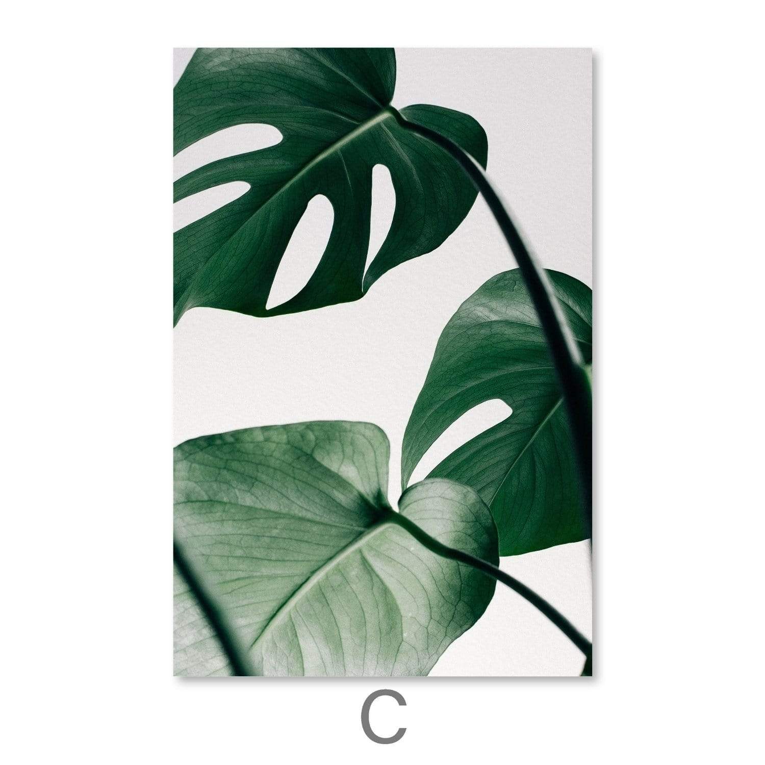Tropical Leaf Canvas - Image 7