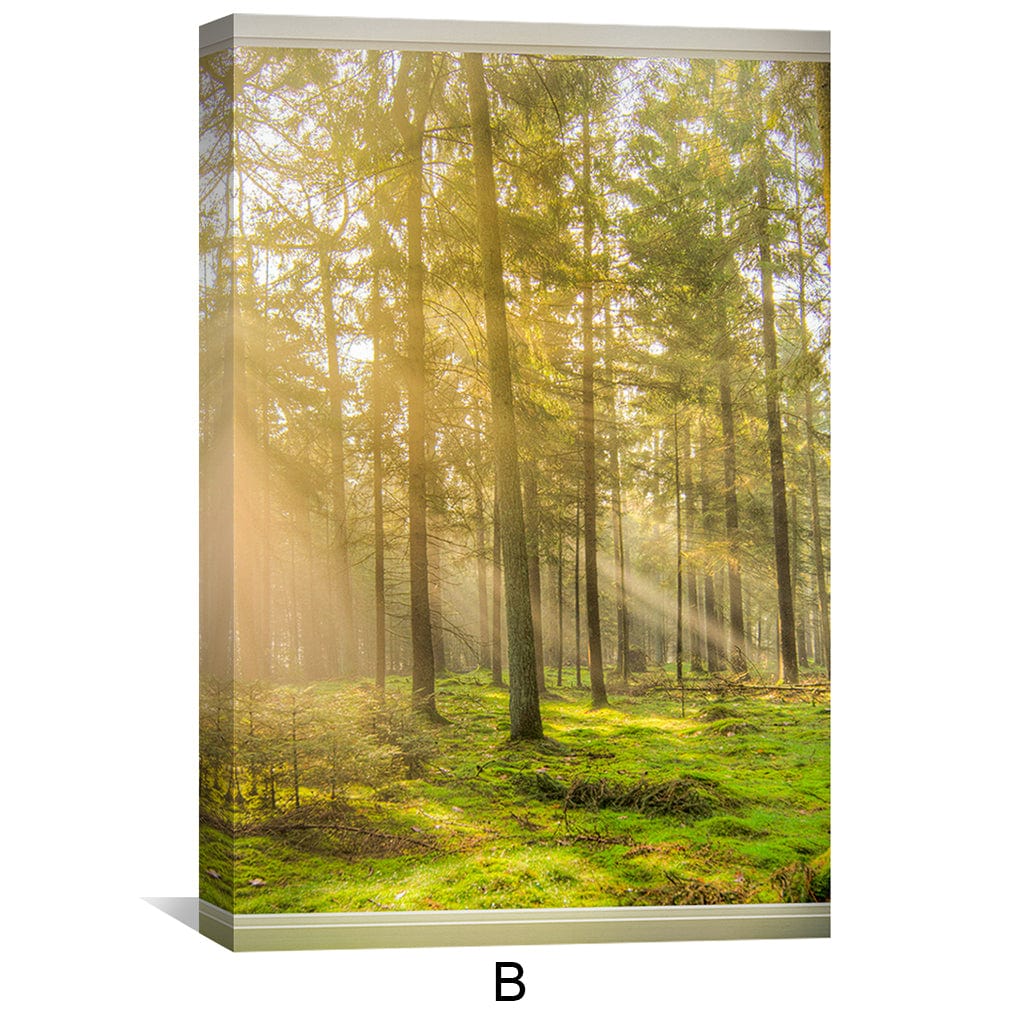 Window to Forestry Canvas - Image 6